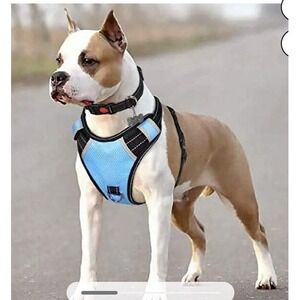 BABYLTRL No-Pull Adjustable Reflective Dog‎ Harness With Collar Medium Sky Blue